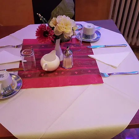 Sunny´s Hotel&residence Hotel Maguncia